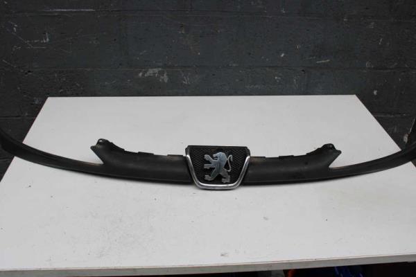 Calandre PEUGEOT 206 - Vue 2